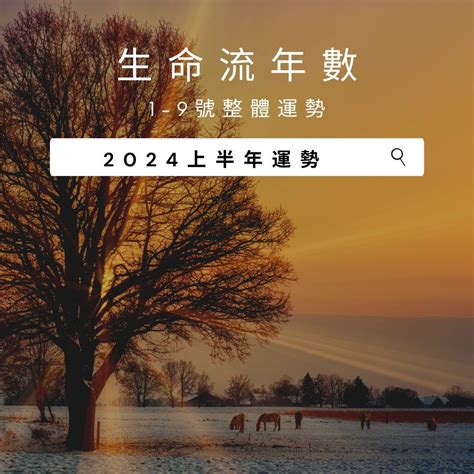 流年5|V生命靈數｜ 2025上半年【財富運勢】分析&生命流年 